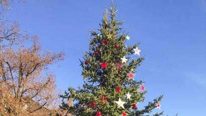 Bild: exb
Die Vereine haben wieder ein Prachtexemplar am Marktplatz aufgestellt.