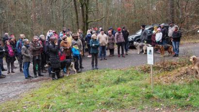 Bild: Bühner
Als Sprecherin des Aktionsbündnisses Walderhalt begrüßt Sonja Schuhmacher die Teilnehmer am Waldspaziergang.