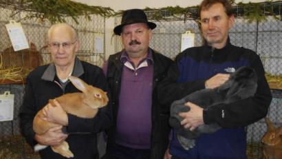 Bild: u
Josef Högl (links) hat mit einem Burgunder den besten Rammler vorzuweisen, Sohn Wolfgang (rechts) mit einer Blauen Wiener die beste Häsin. Vorsitzender Georg Maier gratuliert den Siegern.