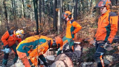 Bild: exb
Im Wald fliegen die Späne für einen guten Zweck.