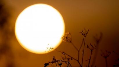 Bild: dpa
Im Winter fehlt uns vor allem eines: die Sonne.