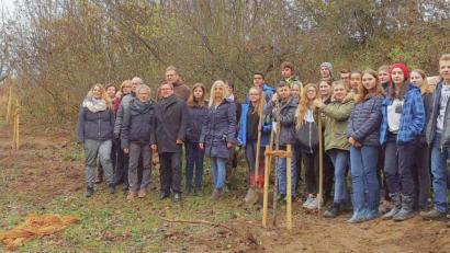 Bild: njn
Die Achtklässler der Mittelschule packten beim Anlegen der Streuobstwiese kräftig mit an. Mit auf dem Bild Rektorin Sabine Graser (Neunte von links), Bürgermeister Hans Donko (Sechster von links), Lehrer Bernhard Reiß (Fünfter von links) sowie die Vereinsvorstände Lucia Heindl (Dritte von links), Anton Hauer (Dritter von links) und Klaus Schmidt (Siebter von links)
