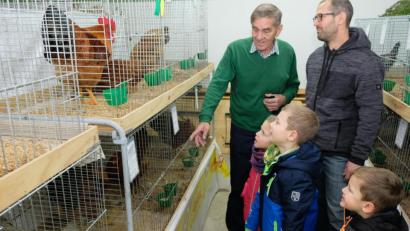 Bild: do
Die Lokalschau des Kleintierzuchtvereins Eschenbach gehört zu den größten im Land. Die alljährliche öffentliche Präsentation macht auch viele junge Familien neugierig. Ehrenvorsitzender Werner Kennel senior die Vielfalt des ausgestellten Federviehs.