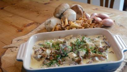 Bild: Gabi Schönberger
Wer reiche Beute im Wald gemacht hat, kann sich auf die Schwammerl in Kräutersahne freuen.