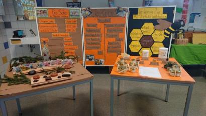 Bild: Mittelschule Waldsassen/exb
Die Schüler der Klasse 9M der Mittelschule Waldsassen gaben an ihren selbst erstellten Infoständen einen kleinen Einblick in die biologische Seifen - und Cremeherstellung, den Schulgarten und die Schulimkerei.