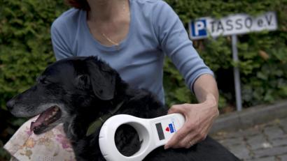 Bild: Emily Wabitsch/dpa
Mit einem solchen Chip-Lesegerät können Transponder, die von Tierärzten eingesetzt wurden, ausgelesen werden. Das ermöglicht eine Zuordnung von entlaufenen Tieren zu ihren Besitzern.