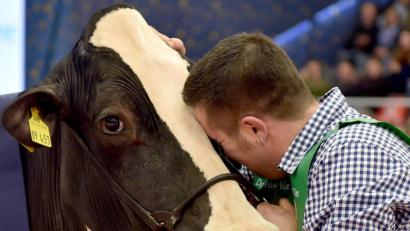 Bild: Carmen Jaspersen
"Lady Gaga" mochte den Laufsteg und stand seit Jahren im Rampenlicht tierischer Schönheitswettbewerbe