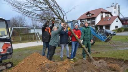 Bild: dob
Mit vereinten Kräften haben die CSU-Mitstreiter des Ortsverbands Oberlind den Rotahornbaum in die ausgebaggerte Pflanzmulde gesetzt. Vorsitzender Florian Meißner (Zweiter von rechts) hatte in Johannes Hausner (rechts), Stadtrat Hans Bayerl, Josef Beierl und Konrad Zitzmann (von links) Unterstützung erhalten.