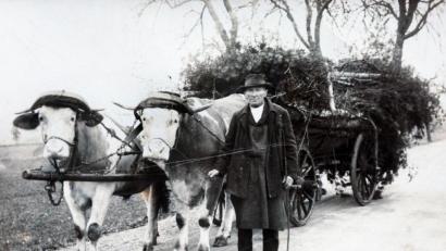 Repro: Gabi Schönberger
Johann Friedrich Stark bewirtschaftete mit seinen Ochsen 20 Hektar Acker und 4 Hektar Wald. Er war Schüler im ersten Jahrgang 1869/70 der Landwirtschaftsschule. Mit seiner Frau Elisabeth bekam er in 17 Jahren 12 Kinder, von denen 9 im Kindes- oder Jugendalter starben. Er selbst starb 1931. Den Hof übernahm Sohn Karl Albert.