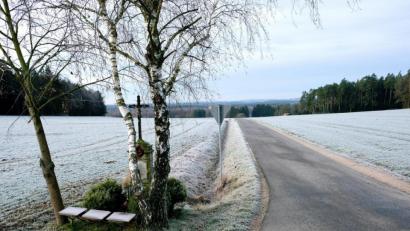 Bild: do
Die Ertüchtigung und Verbreiterung der Gemeindeverbindungsstraße zwischen Tremmersdorf und Haselbrunn in Richtung Staatsstraße 2122, Großkotzenreuth und dem Oberseegebiet steht in der Prioritätenliste der Kommune für den geplanten Ausbau des Kernwegenetzes ganz oben. Der Gemeinderat hofft, dass sich auch die Stadt Eschenbach in ihrem Bereich dem Ausbau nicht verschließt.