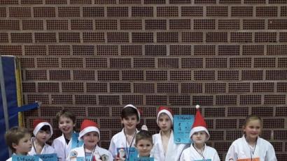 Bild: exb
Zum Nikolaus stellen sich Judokas aus der Region einem Turnier.