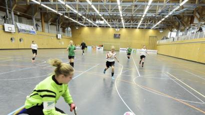 Bild: Ziegler
Dynamische D-Juniorinnen auf dem Parkett der Rudi-Scheuerer-Halle in Kümmersbruck.