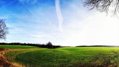 Bild: ind
Momentaufnahme Mitte Dezember im Landkreis Amberg-Sulzbach - Frühlingsgefühle kurz vor Weihnachten.