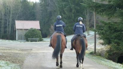 Bild: Portner
Andrea Scherr wohnte mit ihrer Familie viele Jahre in Oberlangau und unternahm oft Ausritte in die Umgebung. Dort suchten am Mittwoch zwei Polizistinnen der Reiterstaffel Mittelfranken nach der Vermissten. Mit Hermes und Gasparo machten sie sich in den dichten Fichtenwald in Richtung Stückberg auf.