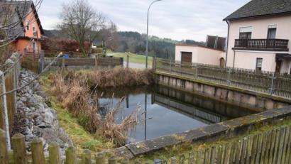 Bild: fz
Wie ein idyllischer Dorfweiher. Der Löschteich erfüllt seine Funktion kaum mehr. Eine Zisterne oder Tanks sollen ihn ersetzen.