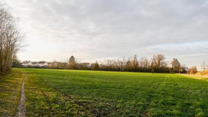 Bild: Hösamer
Im Rothlindenviertel, östlich der Ehrlichstraße und südlich der Steinberger Straße (rechts) hat die Stadt Grund für ein neues Baugebiet erworben.