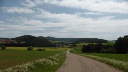 Bild: exb
Schotterbauweise wird zukünftig das Landschaftsbild von Fronhof größtenteils prägen. Die Wege verfügen über eine 4,5 Meter breite Fahrbahn, einem Wegseitengraben sowie einem zulässigen Gesamtgewicht von 10,5 Tonne/Achse. Dieses Foto zeigt eine Wegtrasse aus dem Flurneuordnungs- und Dorferneuerungsverfahren Guteneck-Weidenthal.