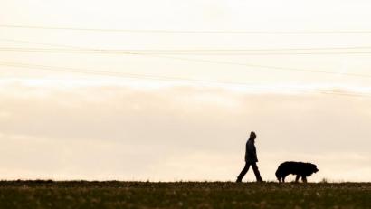 Symbolbild: Fabian Sommer/dpa
Eine Frau geht mit ihrem Hund spazieren.