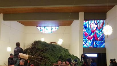Bild: phfz
Dank eines ausgeklügelten Systems und vieler kräftiger Helfer bleiben Baum, Bänke und Altar beim Aufstellen des großen Baums unbeschadet.