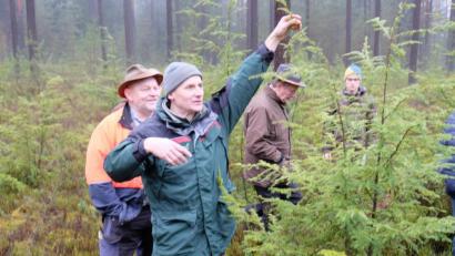 Bild: do
Dürre, Hitze und Schädlinge bringen das Naturgefüge ins Wanken. Welche Baumarten sich künftig für einen klimastabilen Wald eignen, erläutern an Jungbeständen im Detail Revierförster Martin Gottsche (Zweiter von links) und der geschäftsführende Vositzender der Forstbetriebsgemeinschaft Eschenbach Reinhard Wiesent (links).