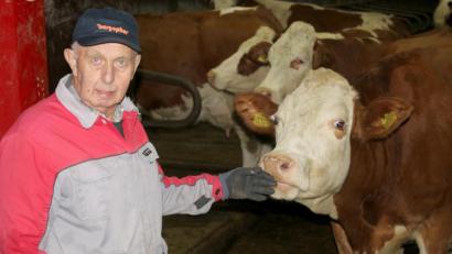 Bild: Schönberger, Ferdinand [fsb]
Erwin Hilburger senior passt zu Silvester gut auf seine Kühe auf.