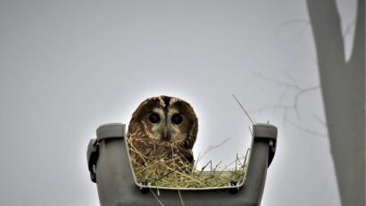 Bild: ubb
Der Blick aus den großen, dunklen Augen wird immer wacher. Von Angst ist bei Sepp keine Spur mehr zu sehen.