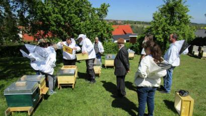 Bild: njn
Auf der Lehrwiese können die Probeimker erste Erfahrungen mit ihren Bienenvölkern machen.