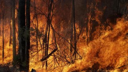 Bild: Rick Rycroft
Diese Aufnahme zeigt ein Buschfeuer, das in Tomerong im australischen Bundesstaat New South Wales gelegt wurde, um einen größeren Brand in der Nähe einzudämmen. Die Heimat von Anthony Harwood, der derzeit in Amberg weilt, ist etwa zehn Autostunden entfernt.