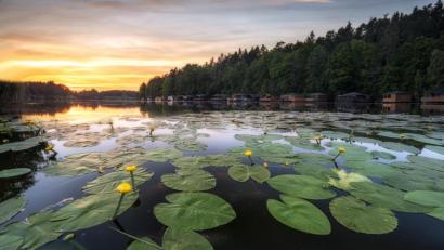 Bild: Dr. Thomas Buchmann
Mit einem Blick für die besten Lichtverhältnisse gelingen dem Hobbyfotografen faszinierende Bilder von Oberpfälzer Naturlandschaften, wie dieses Bild vom Rußweiher in Eschenbach zeigt.