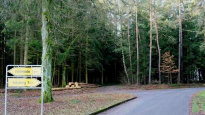 Bild: do
Die Polizei sucht das Waldgebiet um Hotzaberg und Breitenlohe nach der Schülerin ab.