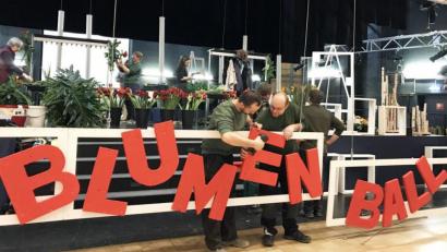 Bild: Gabi Schönberger
Die Vorbereitungen für den Weidener Blumenball laufen am Freitag auf Hochtouren.