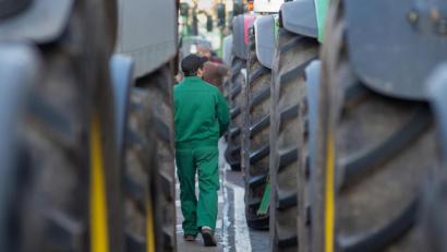 Bild: Klaus-Dietmar Gabbert/dpa
Ein Landwirt geht bei einer Demonstration von Bauern zwischen Traktoren, die dicht an dicht auf der Straße parken, hindurch.