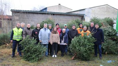 Bild: exb
Hunderte Christbäume sammelt die Junge Union am frühen Morgen im Stadtgebiet ein.