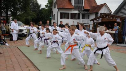 Bild: frd
Beweglichkeit und Disziplin stellten die Karate-Sportler von "Genbukan" unter Beweis, als sie vergangenes Jahr beim Bürgerfest am Marktweiher ihr Können demonstrierten.