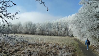 Bild: Portner
Für den oberen Teil der Wiese zwischen der Dietersdorfer Straße und dem Biotop am Kurpark (unten) stellt die Stadt Schönsee den vorhabenbezogenen Bebauungsplan „Sondergebiet Seniorenbetreuung an der alten Säge“ auf.