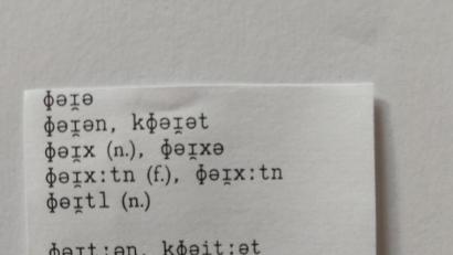 Bild: slu
In seiner Dissertation über die Mundart von Eslarn verwendet Armin Bachmann eine wissenschaftliche Dialektschreibung. Diese ist für den Laien nicht nachvollziehbar.