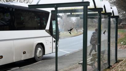 Bild: Gabi Schönberger
An der Bushaltestelle in der Tirschenreuther Straße spricht der Unbekannte den Schüler an. Später beobachten Polizisten in Zivil den Ort.