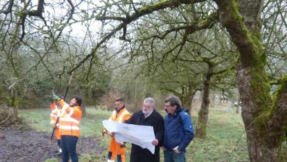 Bild: Portner
Wolfgang Grosser vom Kreisgartenamt (rechts) und Bürgermeister Armin Schärtl begutachten unter dem Apfelbaum mit der Nummer „6“ den Plan des Landschaftsarchitekten zum Krankenhauspark. Daran orientieren sich auch die Mitarbeiter des Bauhofes, darunter Expertin Marion Schleicher, als sie Edelreiser von den Obstbäumen entnehmen.