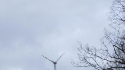 Bild: exb
Um den Klimawandel zu bremsen, müssen alternative Energien Vorrang genießen, fordern die Grünen und heben Windkraftanlagen wie die in Edelsfeld als äußerst effektiv heraus.