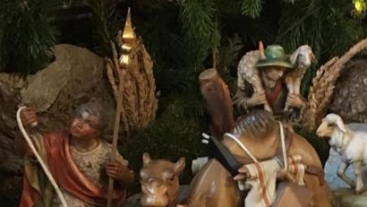 Bild: exb/Polizei
Kamel und Treiber hat der Dieb mitgenommen.