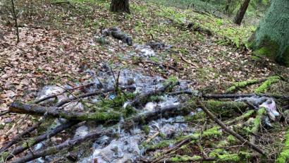 Bild: exb
Unweit eines Waldweges sah ein Spaziergänger am Montagnachmittag die Überreste von elf geschossenen Rehen, bedeckt von einem Reisighaufen.