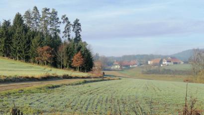 Bild: anv
Ein fast schon gewohnter Anblick: Die Wiesen und Felder bei Ragenhof im Landkreis Schwandorf haben dieses Jahr noch keinen Schnee gesehen. Ähnlich sieht es in der restlichen Oberpfalz aus.