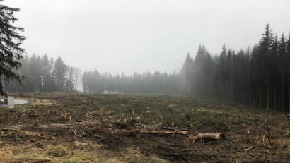 Bild: exb
Aktuell durch Rodungsarbeiten des Vorbeistzers noch nicht gerade ansehnlich das neue Baugebiet Neusorg West, dafür aber im Eigemtum der Gemeinde