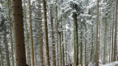 Bild: hai
Auf dem Weg zur Gänskopfhütte gab es für die Outdoor-Kids und die Erwachsenen immer wieder etwas zu entdecken.