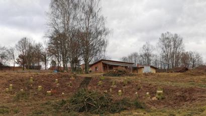 Bild: gz
Der Bau der Badelandschaft in Kiosk-Nähe erforderte die Rodung von rund 40 Nadelbäumen.