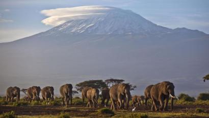 Archivbild: Ben Curtis/AP/dpa
Der Kilimandscharo, Afrikas höchster Berg.
