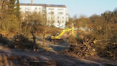 Bild: bl
Die Rodung läuft: Das Bild zeigt den Fortgang der Arbeiten am Donnerstagvormittag.