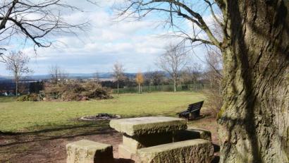 Bild: Gabi Schönberger
In der Nähe des "Steinernen Tischs" im Osten Weidens soll der Süd-Ost-Link verlaufen. Die CSU fordert nun die Stadt auf, juristische Schritte dagegen zu prüfen.