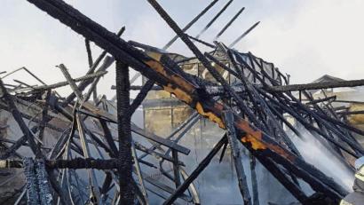 Bild: rti
Bei einem Großbrand in Neualbenreuth sind im Januar 300 Schweine verendet. Das hat nun die vegane Tierschutzorganisation PETA auf den Plan gerufen. Sie hat bei der Staatsanwaltschaft in Weiden Anzeige erstattet.