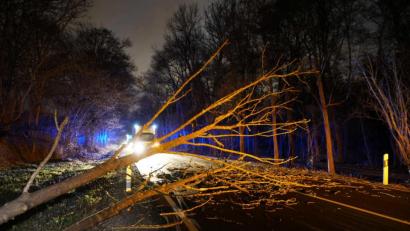 Bild: Sven Kohls/dpa
Mittlere Filderstrasse, Stuttgart: Ein Baum, der vom Sturmtief "Sabine" umgerissen wurde, liegt auf einer Straße.
